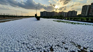 Pune's Unexpected Winter Wonderland: A Surreal Hailstorm Transforms Hinjewadi