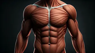 Ranveer Singh's Dhurandhar 2: What to Expect!