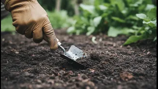 Check Soil Below The Surface Before Adding Water During Monsoon