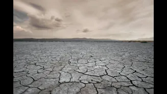 Telangana Faces Rainfall Deficit Amid El Nino Concerns