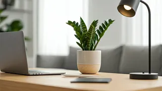 Bring The Outdoors Inside Using Low Maintenance Biophilic Workspace Plants