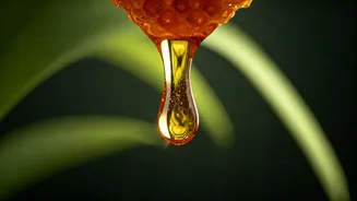 Ayurveda's Golden Nectar: Unveiling the Profound Benefits of Honey for Well-being