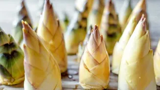 Canned bamboo shoots: A pantry staple you need