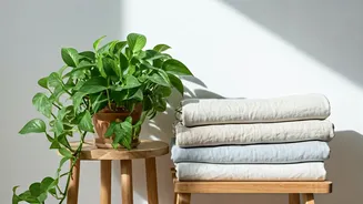 Transform Rental Spaces Using Trailing Devil’s Ivy And Organic Linens