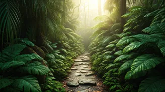 Rainy Season Turns Trails Into Adventure Parks