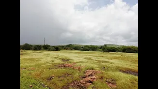 Weak Monsoon 2026: ICRA Cuts India's Farm Growth Forecast