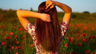 Science Of Morning Light: 10 Minutes Outdoors Eliminates Afternoon Slumps And Brain Fog