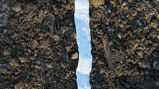 Read the Seed Packet Before Choosing a Place to Plant