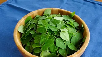 How Moringa Can Fit Familiar Recipes: A Guide To Moringa In Everyday Meals