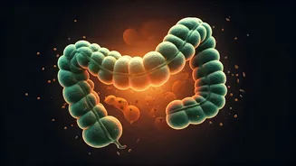 Beyond Indulgence: Unpacking the Gut Health Secrets of Indian Street Food like Golgappa & Aloo Chaat