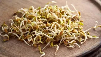How to grow nutritious fenugreek sprouts at home