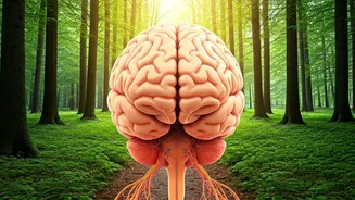 Walking: A Daily Boost Against Alzheimer's?