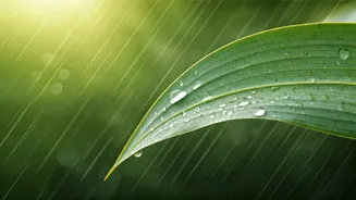 Monsoon Skincare Made Easy With Dermatologist Advice