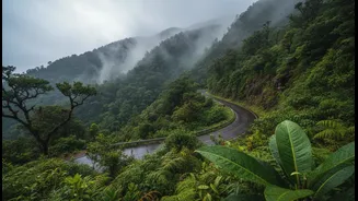 Weekend Escapes Near Delhi-NCR That Shine In Monsoon