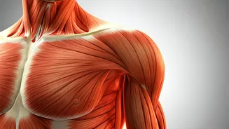 Unlock Your Overhead Press: 5 Mobility Drills for Superior Shoulder Strength & Health