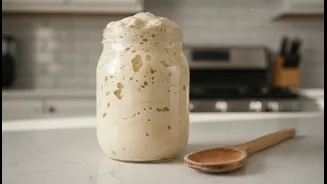 Why zero-waste cooking movements promote sourdough discard utilization among urban millennial cooks
