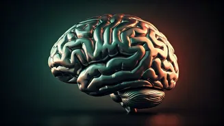 Brain Aging Signals: 6 Early Warning Signs You Shouldn't Ignore