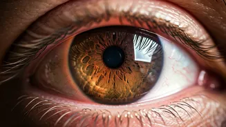 Related Stories banner