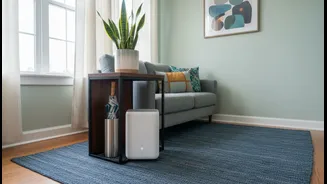 Small Flats Need Monsoon Decor That Survives Weather And Daily Use