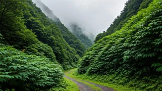 Monsoon Getaways Near Delhi-NCR Everyone Should Experience