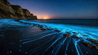 Europe's Luminous Waters: Unveiling Nature's Magical Glow on the Coastline