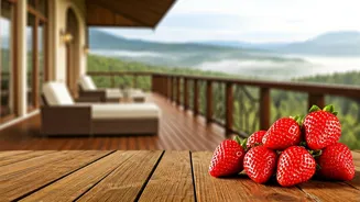 Mahabaleshwar's Sweet Strawberry Season: Luxury Stays Amidst A Fruity Finale