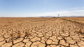 Drier September, Higher Farm Stress? What Indian Agriculture Could Face Next