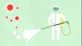Nipah Virus Spillover Risks in Kerala and West Bengal Highlight Seasonal Patterns