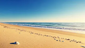 Georgia's Coastal Gems: Discover 5 Unforgettable Beach Escapes