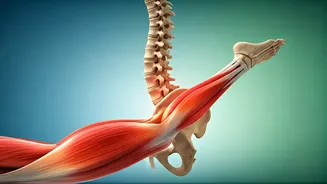 Unlock a Healthier Spine: Gen Z's Guide to Flexible Legs and Fitness