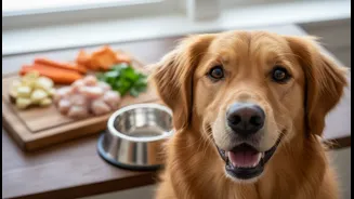 How urban pet parents improve canine health using vet-approved fresh food formulations