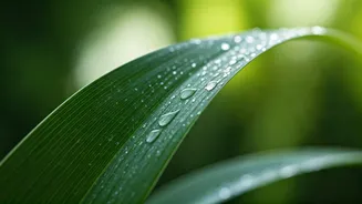 Mindful Chewing: 5 Surprising Ways It Boosts Your Health