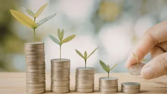 This mutual fund has delivered over 40% returns on a lump sum investment in 2 years