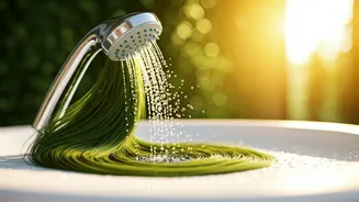 Summer Hair Care: How Often Should You Wash Your Hair for Optimal Health?