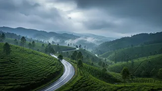 IMD's District-Level Monsoon Warnings Makes Route-Specific Checks Before Monsoon Journeys More Important