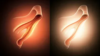 Obesity & Sleep Apnea: Unraveling the Vicious Cycle for Better Health