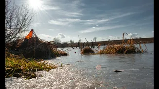 Understanding Flash Floods: Causes and Safety Tips