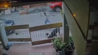 Bengaluru Woman Attacked by Pet Dog During Morning Walk, Gets 50 Stitches on Face – Disturbing Video Surfaces