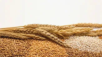 Unpacking Gluten: Understanding Sensitivity & Choices