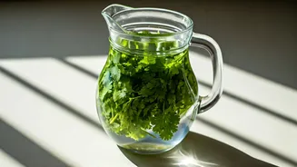 Organic Traction Grows For Morning Coriander Water Anti Bloat Remedies