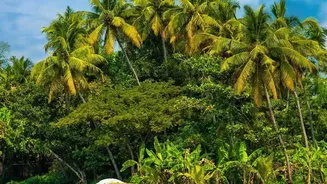 How Munroe Island Homestays Deliver Affordable Serene Kerala Backwater Vacation Stays