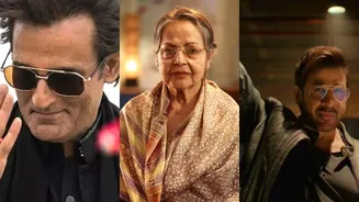 From Akshaye Khanna in 'Dhurandhar' to Rajat Bedi in Netflix's 'The Ba***ds Of Bollywood' to Rakhee Gulzar in 'Aamar Boss': The most successful com...