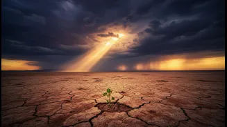 El Nino Control Talk Needs Better Context