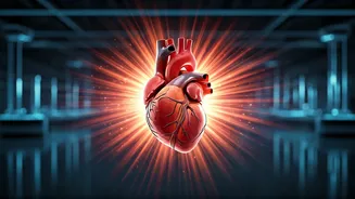 Explosive Exercise: Slash Disease Risk with Short, Intense Bursts!