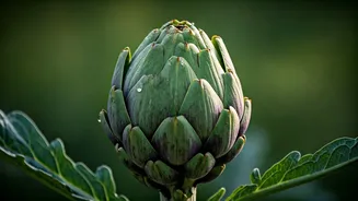 Artichokes: A Superfood Packed with Health Benefits and Culinary Delights