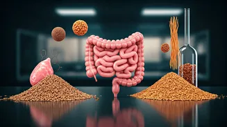 Fibremaxxing: Harvard Doc Explains The Upsides, Downsides, And Smart Ways To Boost Intake
