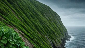Maharashtra Monsoon Alert: Coastal Cliffs Turn Lush Velvet Green Now