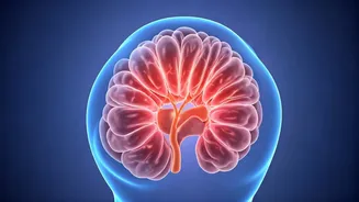 Control Cortisol for a Healthier Body