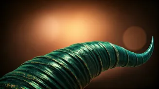 Taurus Today (March 11, 2026): Nurturing Connections & Wise Decisions