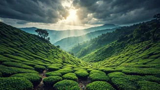 Northeast Culture Belongs In July Travel Plans
